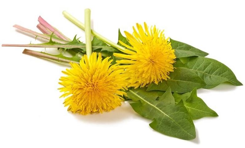 A NEOflorax gyermekláncfűt tartalmaz