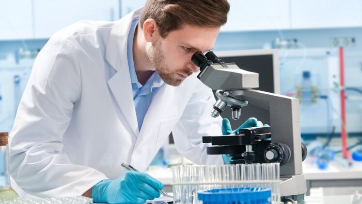 Az emberi paraziták diagnosztizálása mikroszkóp alatt